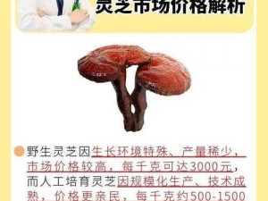 三国杀传奇：灵芝获取攻略大揭秘：探寻灵芝获取途径，助您成为战场霸主