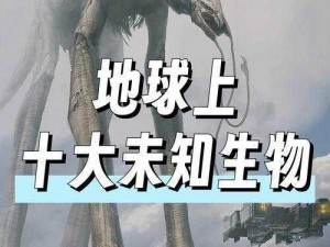 3D 无尽粗暴巨大怪物交：探索未知世界的冒险之旅