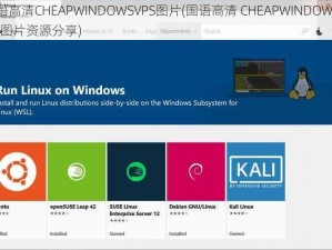 国语高清CHEAPWINDOWSVPS图片(国语高清 CHEAPWINDOWS VPS 图片资源分享)