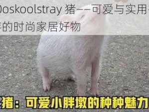 z0oskoolstray 猪——可爱与实用并存的时尚家居好物