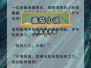 魂穿收集 JY 的小说——体验主角的奇妙旅程