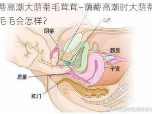 荫蒂高潮大荫蒂毛茸茸—荫蒂高潮时大荫蒂上的毛毛会怎样？