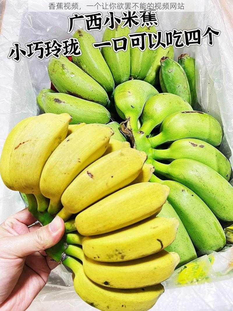 香蕉视频,一个让你欲罢不能的视频网站