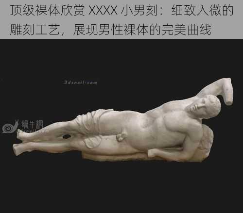 顶级裸体欣赏 XXXX 小男刻：细致入微的雕刻工艺，展现男性裸体的完美曲线