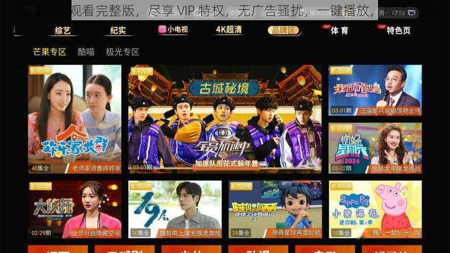 上流社会观看完整版，尽享 VIP 特权，无广告骚扰，一键播放，高清流畅