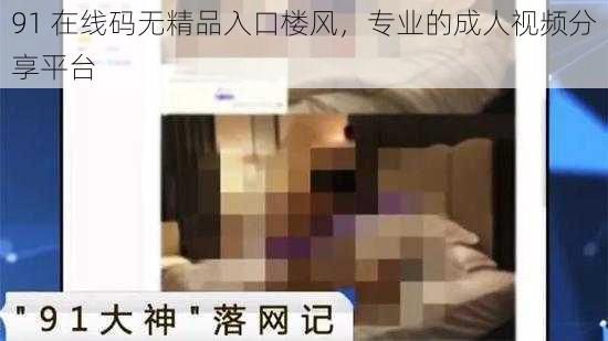 91 在线码无精品入口楼风，专业的成人视频分享平台