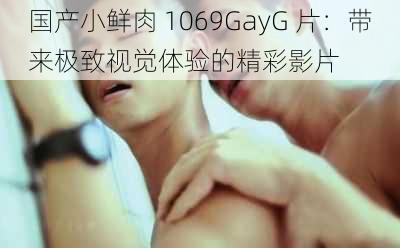 国产小鲜肉 1069GayG 片：带来极致视觉体验的精彩影片