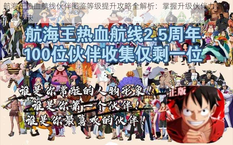 航海王热血航线伙伴图鉴等级提升攻略全解析：掌握升级伙伴力量的关键秘诀