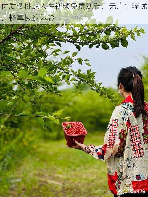 优质樱桃成人性视频免费观看，无广告骚扰，畅享极致体验