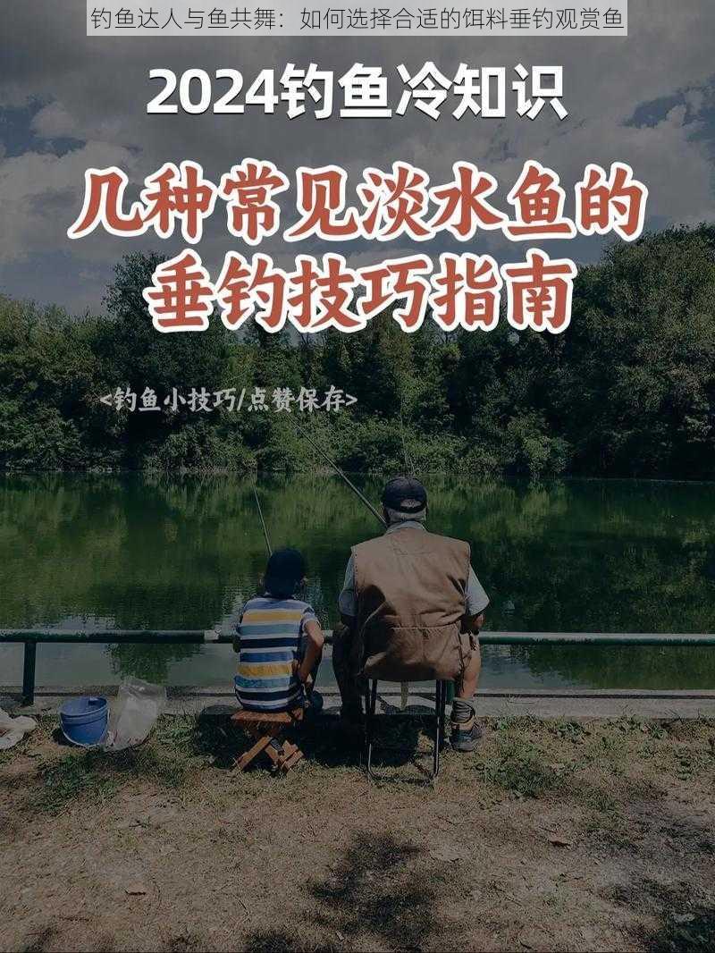 钓鱼达人与鱼共舞：如何选择合适的饵料垂钓观赏鱼