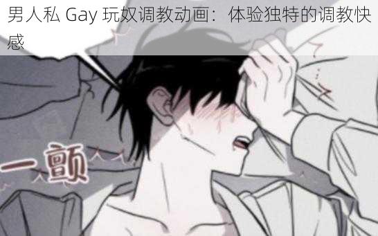 男人私 Gay 玩奴调教动画：体验独特的调教快感