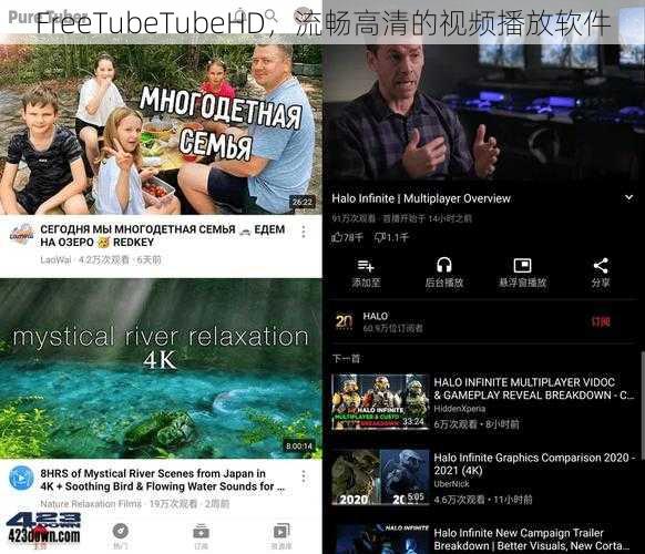 FreeTubeTubeHD，流畅高清的视频播放软件