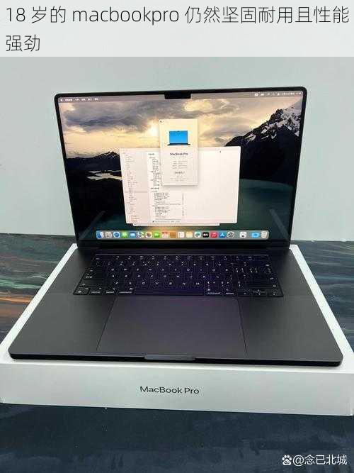 18 岁的 macbookpro 仍然坚固耐用且性能强劲