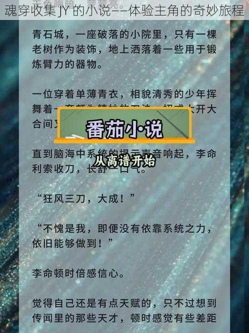 魂穿收集 JY 的小说——体验主角的奇妙旅程