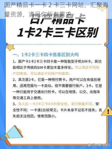 国产精品卡一卡 2 卡三卡网站，汇聚海量资源，满足你所有需求