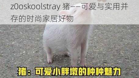 z0oskoolstray 猪——可爱与实用并存的时尚家居好物