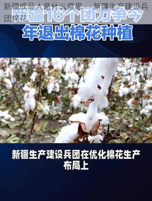 新疆成品人是什么意思——新疆生产建设兵团棉花