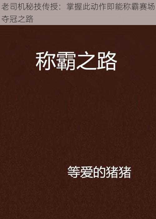 老司机秘技传授：掌握此动作即能称霸赛场夺冠之路