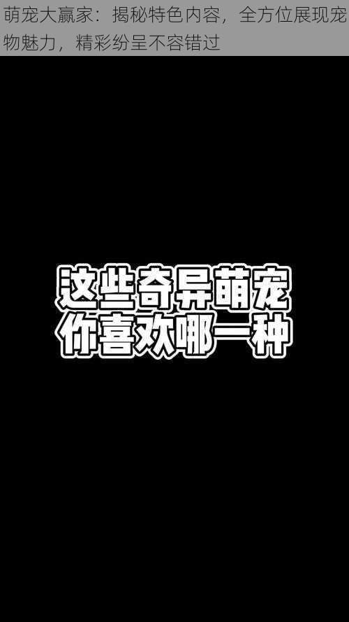 萌宠大赢家：揭秘特色内容，全方位展现宠物魅力，精彩纷呈不容错过