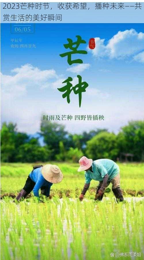 2023芒种时节，收获希望，播种未来——共赏生活的美好瞬间