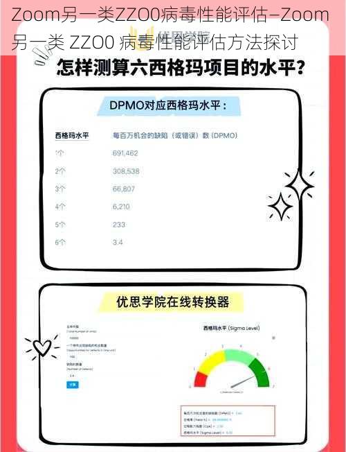 Zoom另一类ZZO0病毒性能评估—Zoom 另一类 ZZO0 病毒性能评估方法探讨