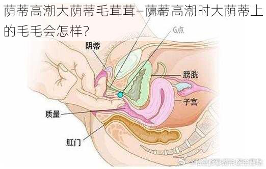 荫蒂高潮大荫蒂毛茸茸—荫蒂高潮时大荫蒂上的毛毛会怎样？