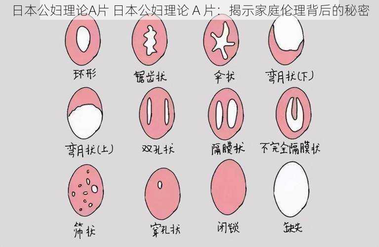 日本公妇理论A片 日本公妇理论 A 片：揭示家庭伦理背后的秘密