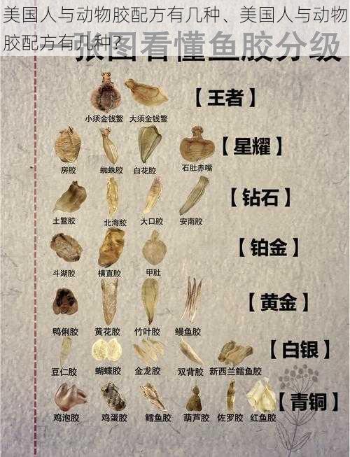 美国人与动物胶配方有几种、美国人与动物胶配方有几种？