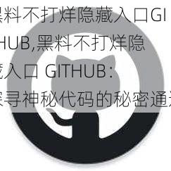 黑料不打烊隐藏入口GITHUB,黑料不打烊隐藏入口 GITHUB：探寻神秘代码的秘密通道