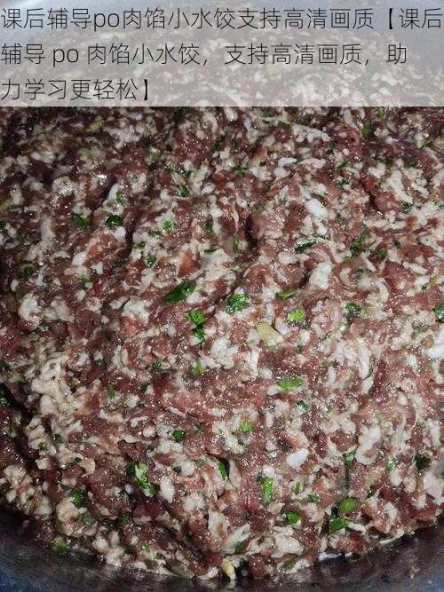 课后辅导po肉馅小水饺支持高清画质【课后辅导 po 肉馅小水饺，支持高清画质，助力学习更轻松】