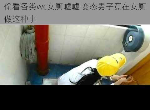 偷看各类wc女厕嘘嘘 变态男子竟在女厕做这种事