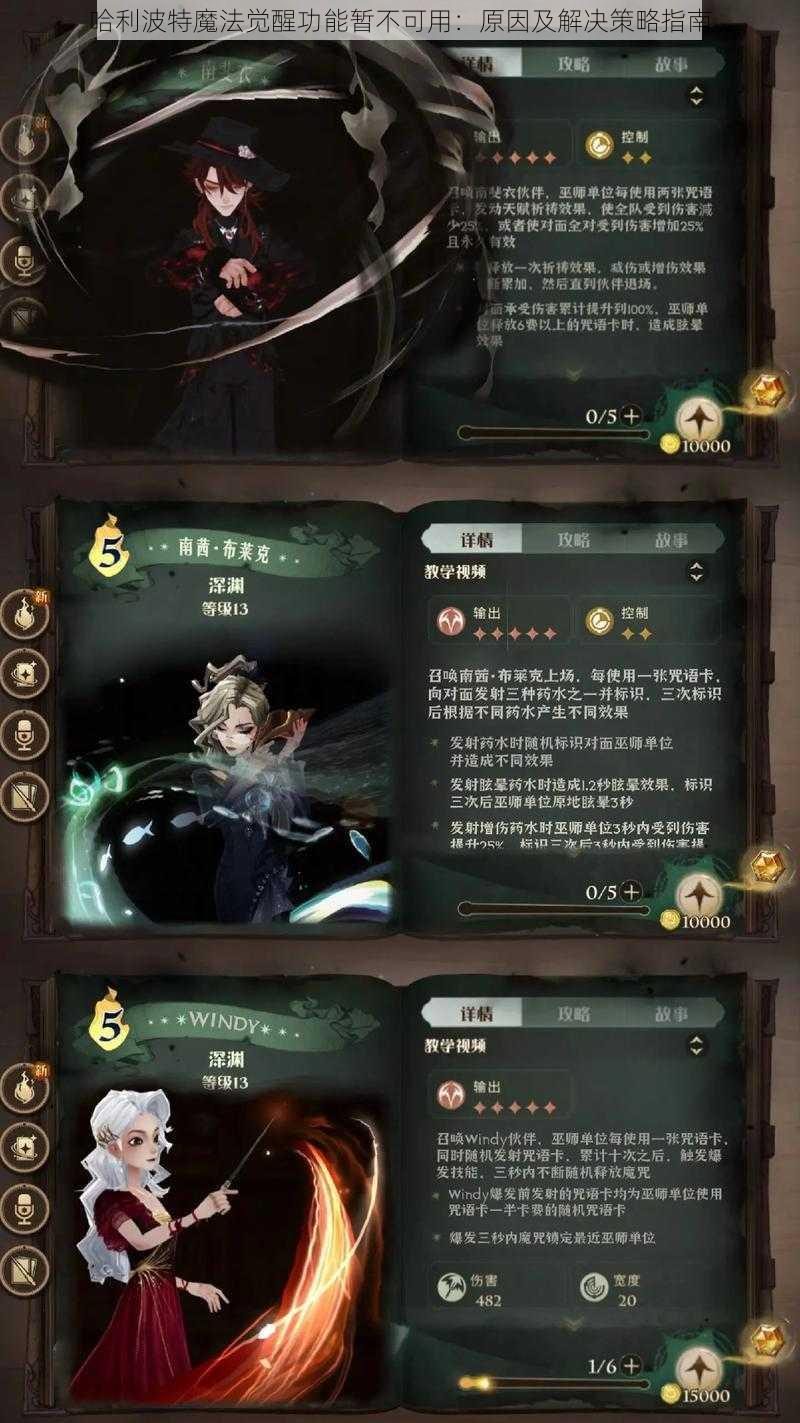 哈利波特魔法觉醒功能暂不可用：原因及解决策略指南