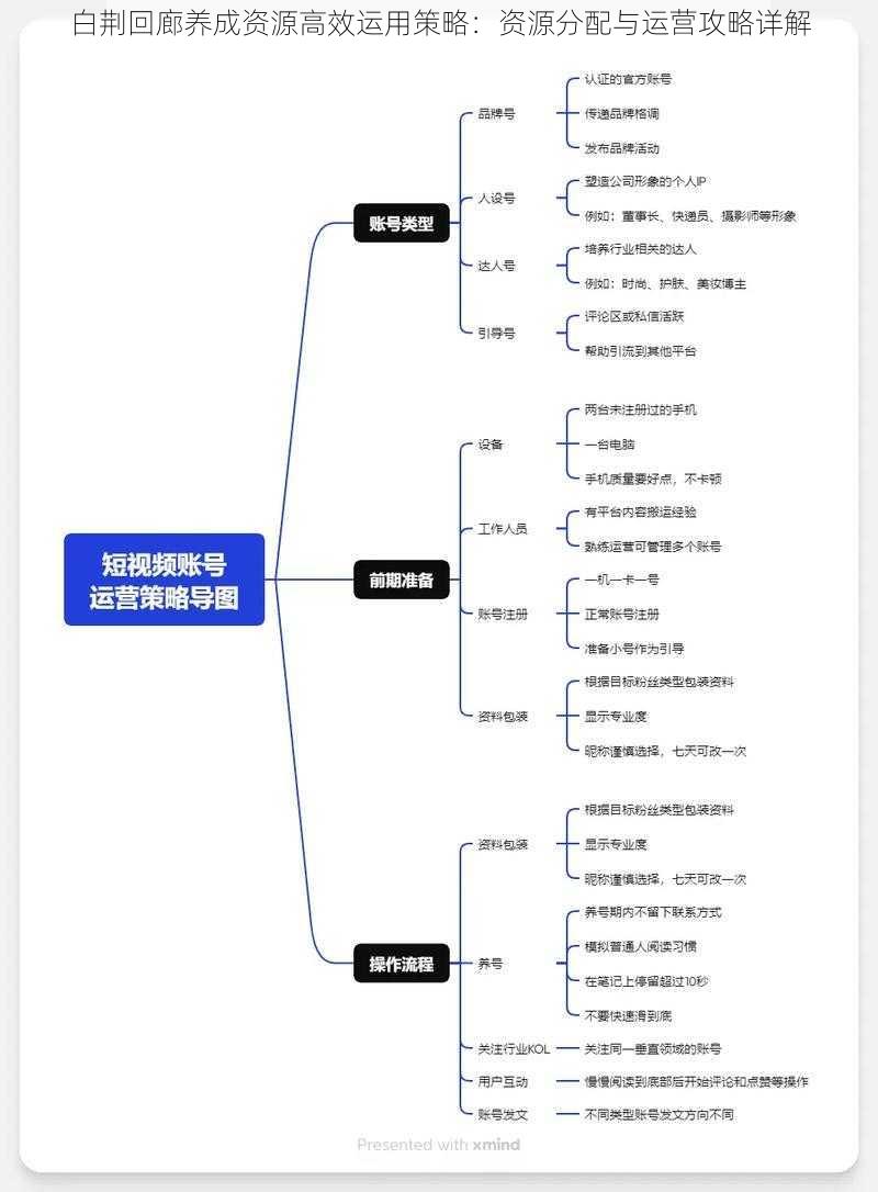 白荆回廊养成资源高效运用策略：资源分配与运营攻略详解