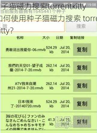 种子猫磁力搜索torrentkitty,如何使用种子猫磁力搜索 torrentkitty？