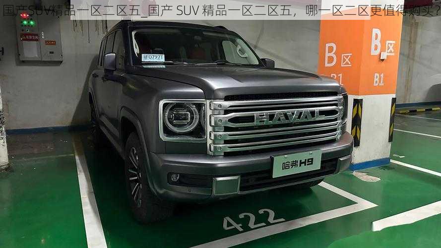 国产SUV精品一区二区五_国产 SUV 精品一区二区五，哪一区二区更值得购买？