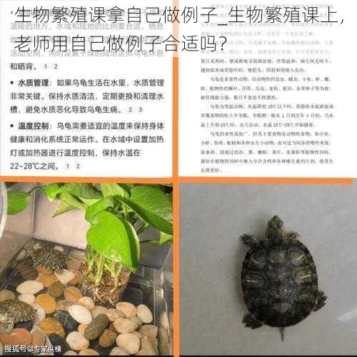 生物繁殖课拿自己做例子_生物繁殖课上，老师用自己做例子合适吗？