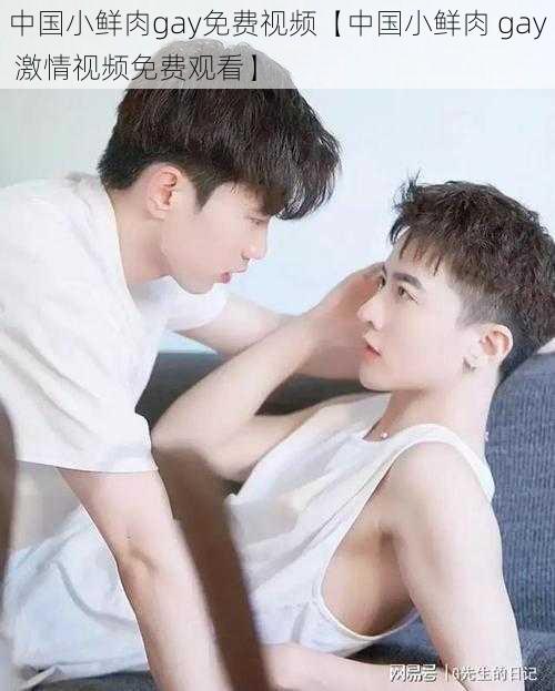 中国小鲜肉gay免费视频【中国小鲜肉 gay 激情视频免费观看】