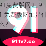 91免费版网址 91 免费版网址是什么？