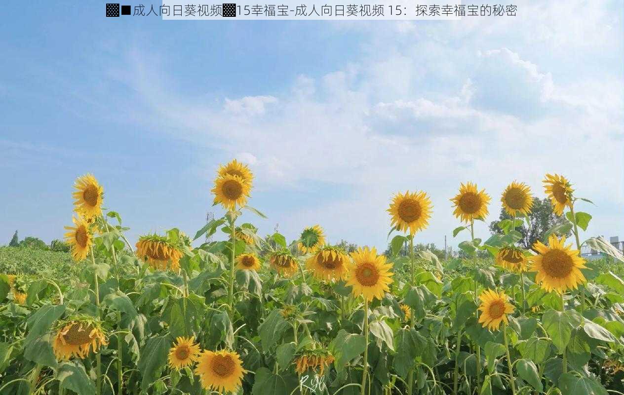 ▓■成人向日葵视频▓15幸福宝-成人向日葵视频 15：探索幸福宝的秘密