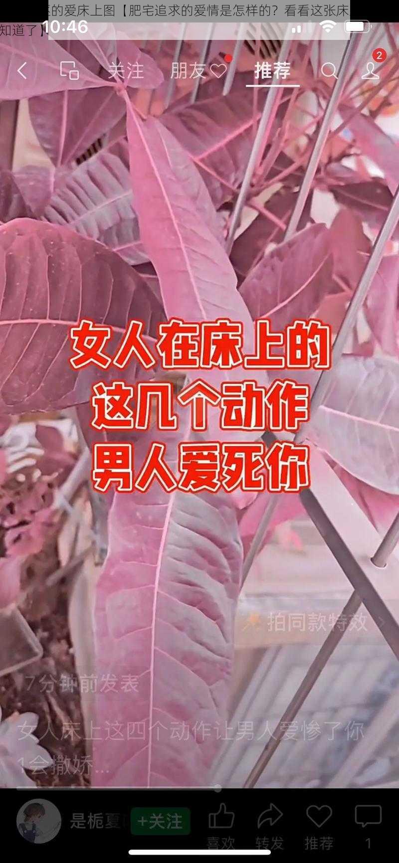 肥宅追逐的爱床上图【肥宅追求的爱情是怎样的？看看这张床上的图就知道了】