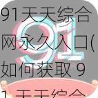 91天天综合网永久入口(如何获取 91 天天综合网永久入口？)