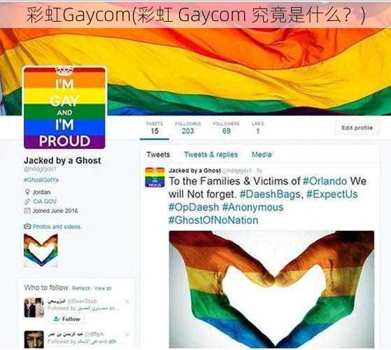 彩虹Gaycom(彩虹 Gaycom 究竟是什么？)