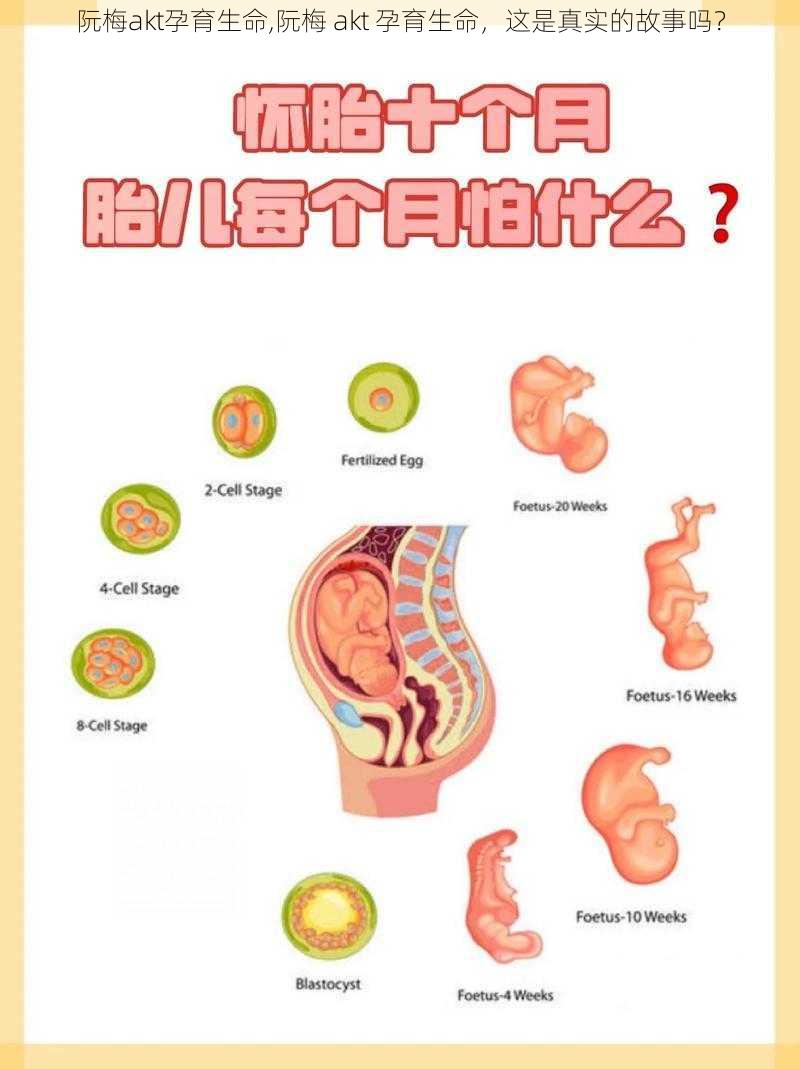 阮梅akt孕育生命,阮梅 akt 孕育生命，这是真实的故事吗？