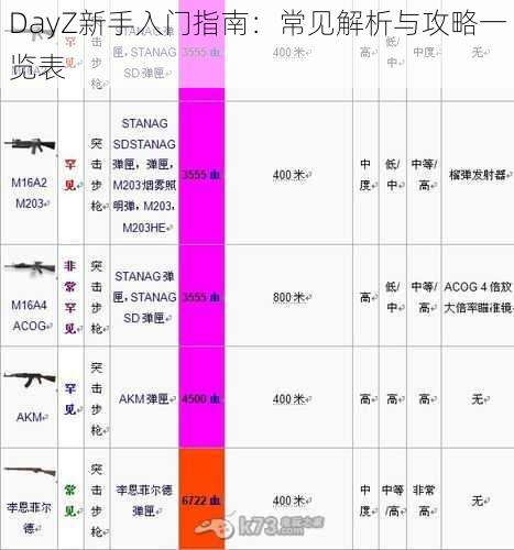 DayZ新手入门指南：常见解析与攻略一览表