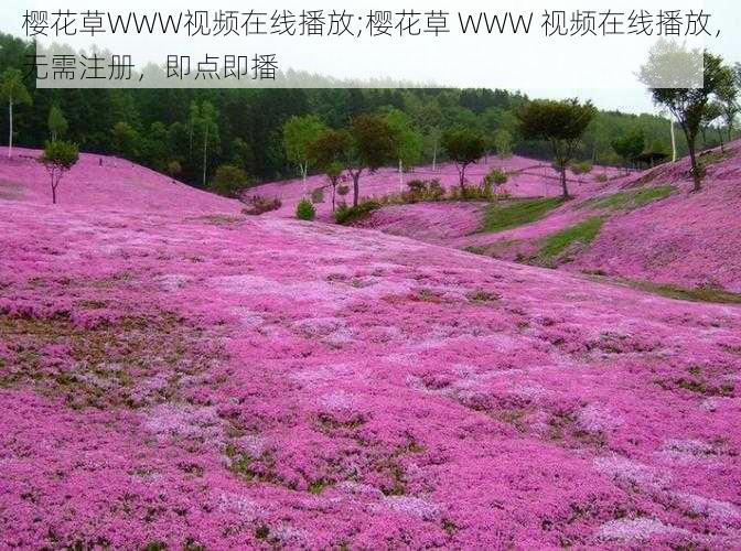 樱花草WWW视频在线播放;樱花草 WWW 视频在线播放，无需注册，即点即播