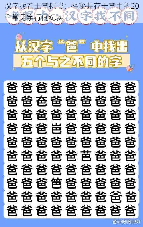 汉字找茬王竜挑战：探秘共存于竜中的20个常见字行间纪实