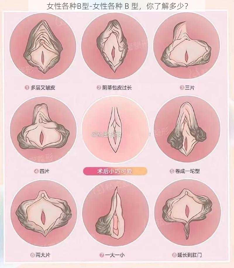 女性各种B型-女性各种 B 型，你了解多少？