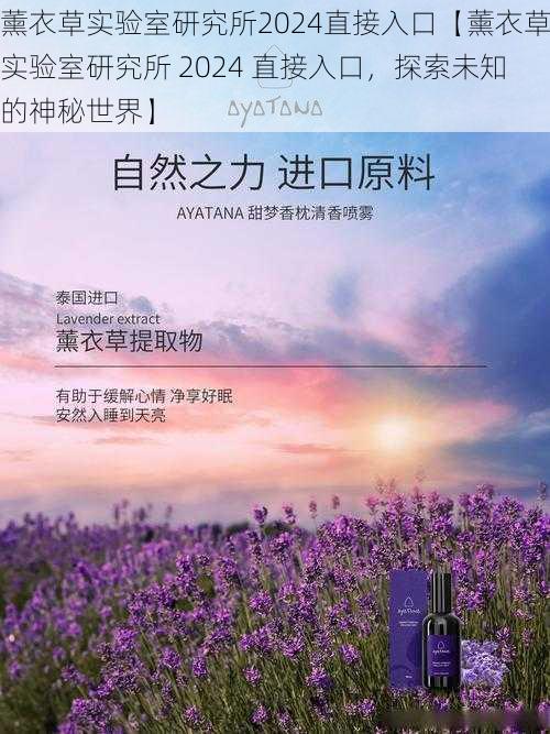 薰衣草实验室研究所2024直接入口【薰衣草实验室研究所 2024 直接入口，探索未知的神秘世界】