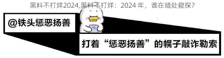 黑料不打烊2024,黑料不打烊：2024 年，谁在暗处窥探？