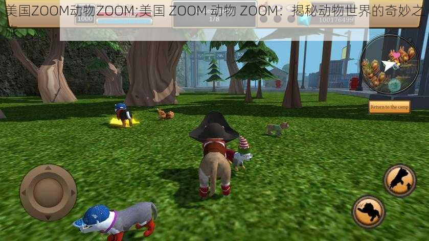 美国ZOOM动物ZOOM;美国 ZOOM 动物 ZOOM：揭秘动物世界的奇妙之旅